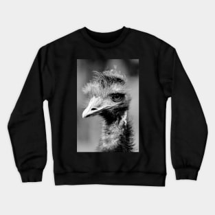 Emu Crewneck Sweatshirt